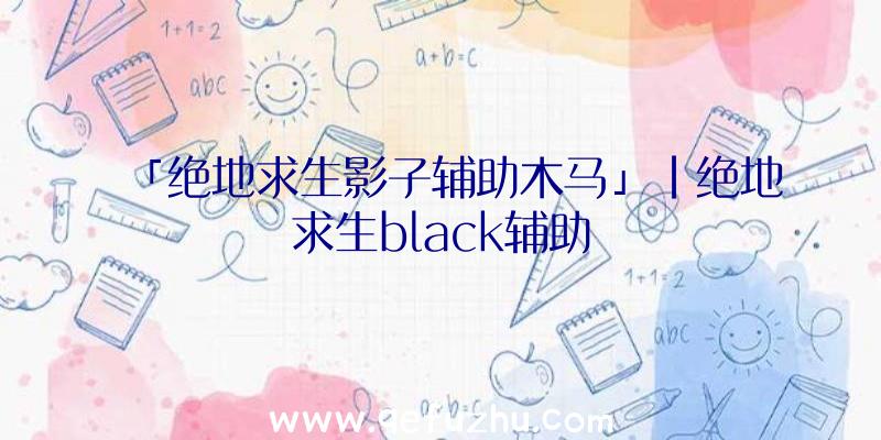 「绝地求生影子辅助木马」|绝地求生black辅助